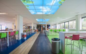 bos_2.jpg Fotoplafond bos 595x595 mm