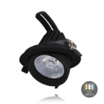 Kantelbare zwarte downlight met cct switch.