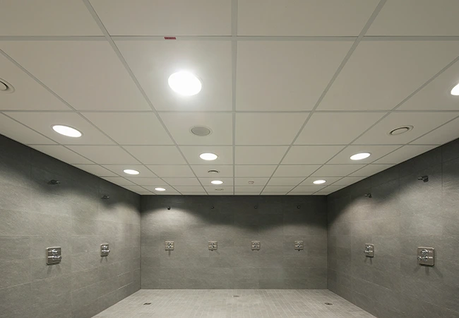 Kant en klare plafondplaten